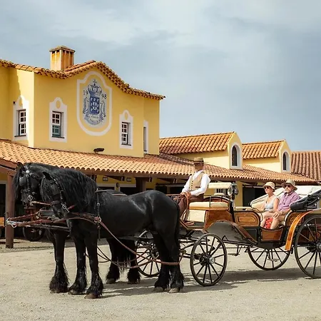 Σπίτι διακοπών Casa Sobreira Da Silva - Local Almeida